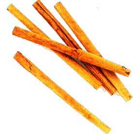 canela.gif (21238 bytes)